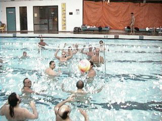 Pool Volleyball